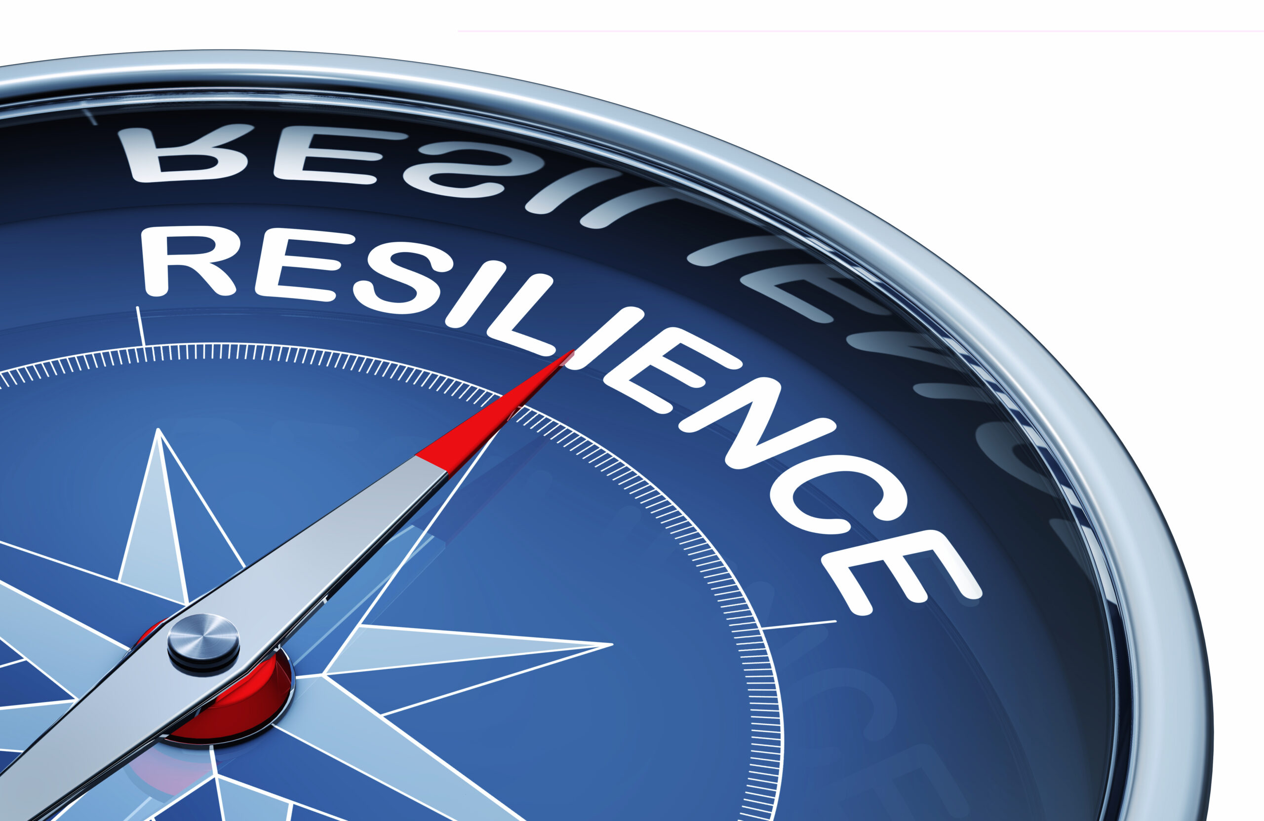Compass to Resilience